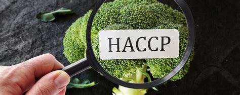 What Is Haccp Definition Meaning Process And Principles