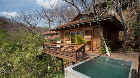 The 8 Coolest Tree House Hotels In Central America