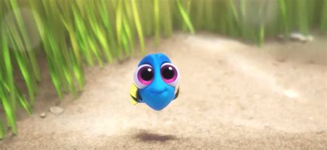 Baby Dory Is The Cutest Thing Weve Ever Seen