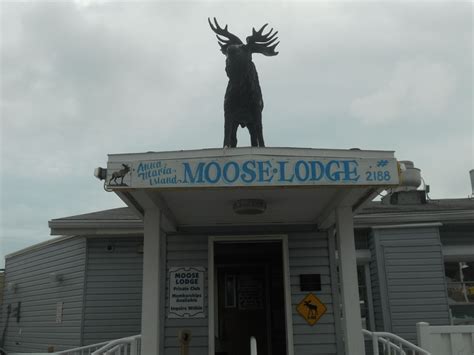 Moose Lodge, Anna Maria Island | Moose lodge, Anna maria island