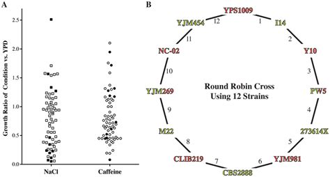 Design Of Round Robin Cross To Map Salt And Caffeine Resistance A