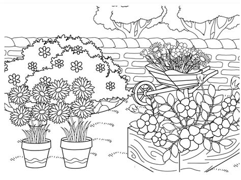 Desenhos De Jardim De Flores Para Colorir Pintar E Imprimir