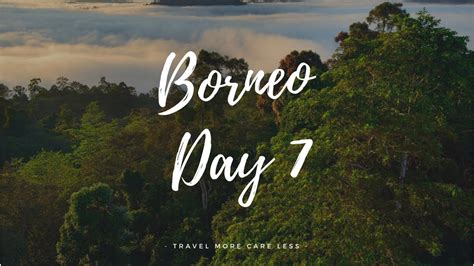 Мощь тропического ливня Vlog Borneo Day72018 Youtube