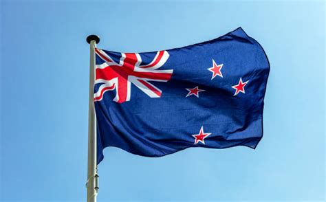 ぜひ冷蔵庫の扉に貼りたいね これはイカがなものか… げそ イカしたイカいうから、あれかと かわいい! ニュージーランド国旗のストックフォト - iStock