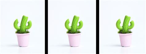 However, there is only one problem. These Mini Cacti Are Made Of Pasta And You Can Craft Them Too