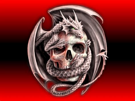 Skulls And Dragons Wallpapers Top Free Skulls And Dragons Backgrounds
