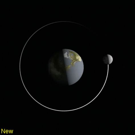 Lunar Orbit Around Earth Animation The Earth Images