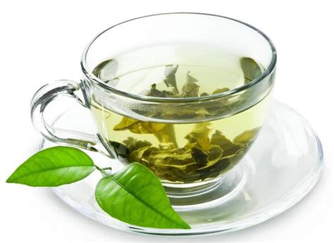 4 Tips On How To Grow Green Tea A Quick And Easy Method
