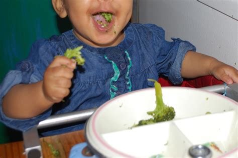 Grub A Plate Like Babies For Broccoli