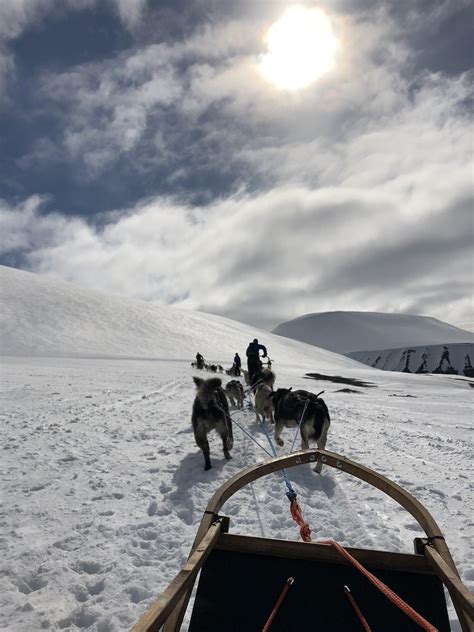 Today I Mushed A Team Of Huskies Through The Arctic Circle On The