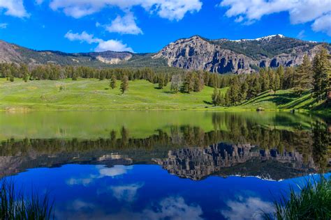 Come to yellowstone to see grizzly and black bears, thousands. Yellowstone National Park bezoeken - Rondreis VS