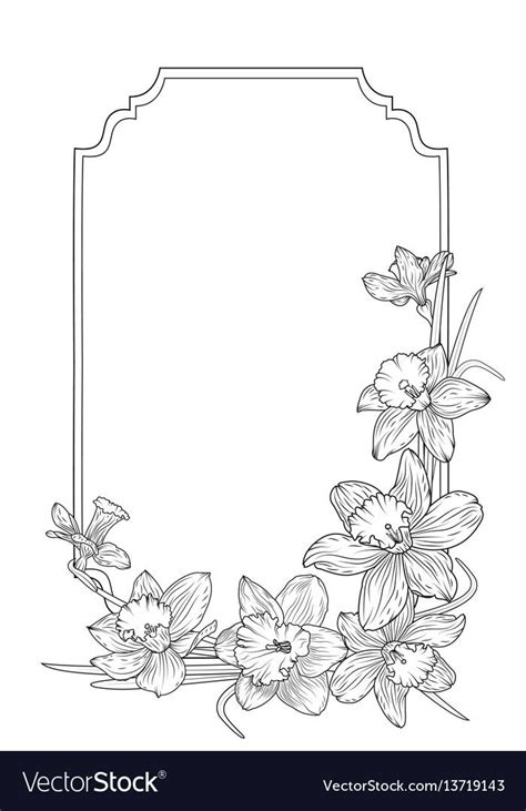 Narcissus daffodils spring floral border frame Vector Image | Flower