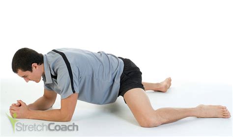 Best Groin And Adductor Stretches And Exercises 6 Stretches
