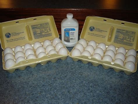 My Egg Storage With Mineral Oil Saga Starts This Week Emergency