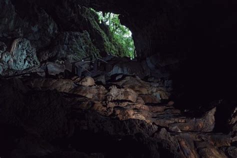 Los Lugares Más Sorprendentes De La Reserva De La Biósfera El Cielo En