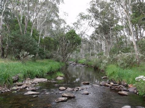 The area's natural beauty can be seen at moffat falls and point lookout. New South Wales - Free Camping - Little Styx River Camping ...