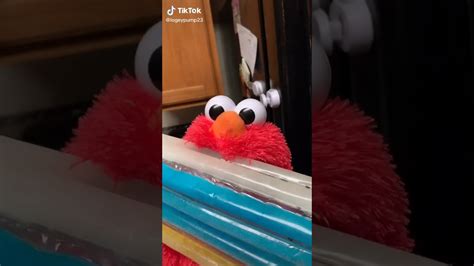 Funny Of Elmo On Tik Tok Reactions Youtube