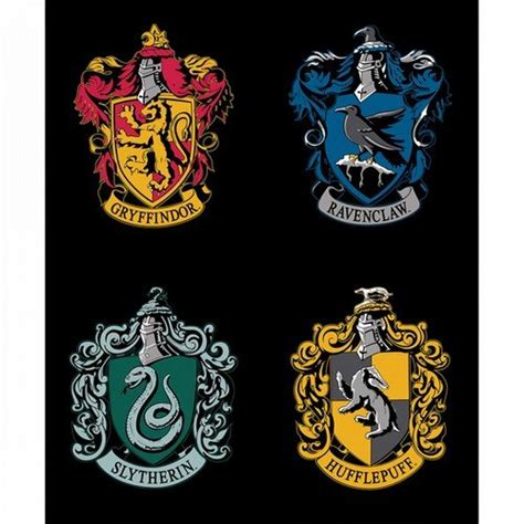 Harry Potter All House Crests Panel