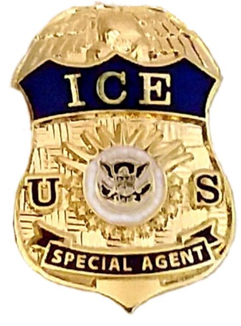 Ice Pin Us Immigration And Customs Enforcement Specia Gem