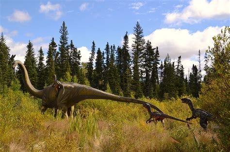 Things To Do At Albertas Jurassic Forest When It Reopens For 2023