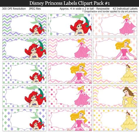 Love These Disney Princess Labels For Kids School And Birthday