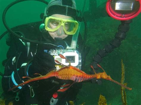 People across nsw have been supported through their cancer journey by services and programs provided by cancer council nsw. john-turnbull-marine-explorer - National Parks Association ...