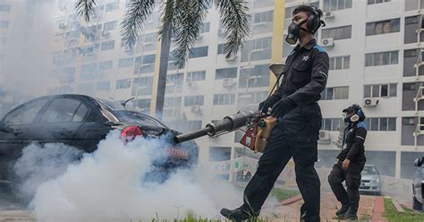 There is no one perfect statistic to compare the outbreaks different looking at a variety of metrics gives you a more complete view of the virus' toll on each country. Singapore's Zika virus outbreak spreads to Malaysia