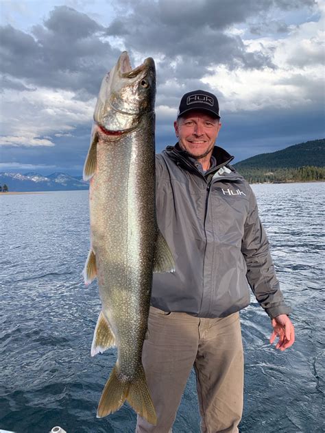 Flathead Lake Macks And Perch Bite Is Happening Montana