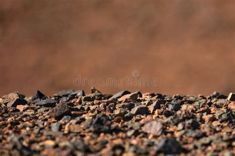 Black Gobi Stony Desert Black Stones On The Sand Stock Photo Image