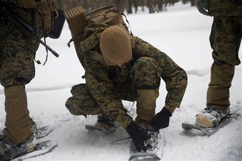 Army And Marine Corps Changing Uniforms To Prepare For Cold War Combat