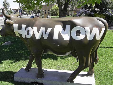 He has judged at numerous venues across victoria and also presided over the on farm challenge in southern nsw. Cows Of Shepparton Victoria - (27) | Cow parade, Victoria, Cow
