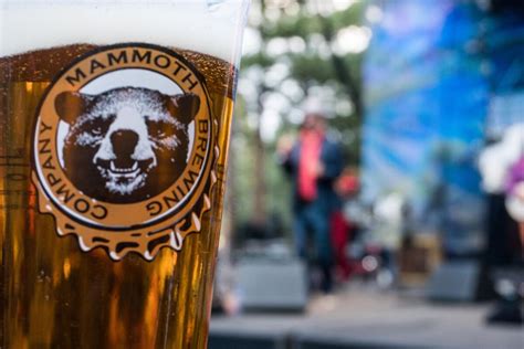 Guide To Mammoths Breweries 1849 Mountain Rentals