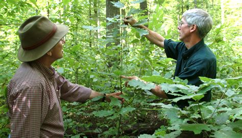 Insect pest management is an important aspect of agricultural production in new hampshire. Extension Programs — Department of Ecosystem Science and ...