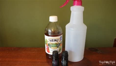 How To Make Homemade Flea Spray For Dogs 3 Non Toxic Diy Recipes