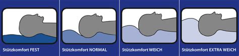 Vor der verarbeitung werden die daunen im eigenen quellwasser gewaschen. Kopfkissen & Kleinkissen - Böhmerwald GmbH - Federn ...