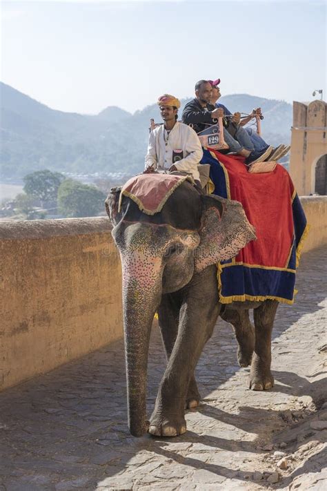 Decorated Elephants Ride Tourists On The Road On Amber Fort In The Old