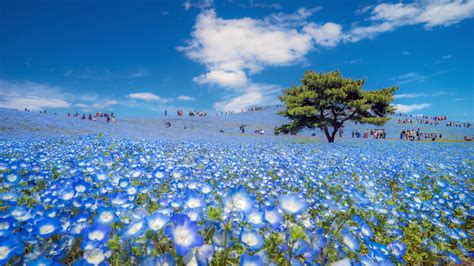 Incredible Nature Photos In Nat Geos Travel Photographer Of The Year