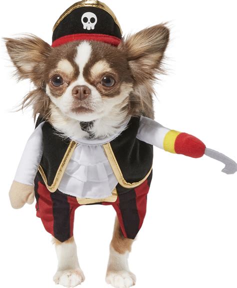 22 Super Cute Halloween Costumes For Chihuahuas Hey Djangles
