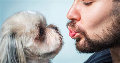 What The Bark Study Shows Mens Beards Carry More Harmful Bacteria