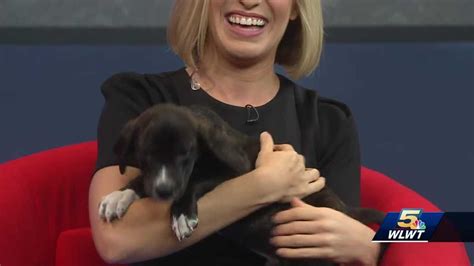 This will prompt you to complete an adoption questionnaire. Meet these pets up for adoption through Stray Animal ...