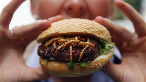 30secondstoknow Why You Should Start Eating Insects Now Seriously