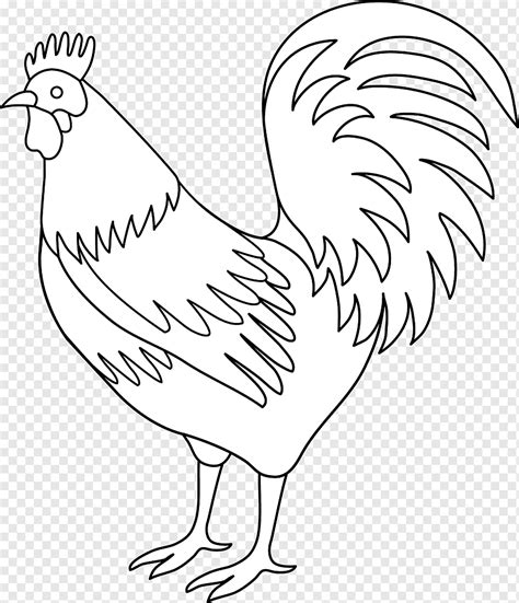 Ayam Gambar Hitam Putih Imagesee