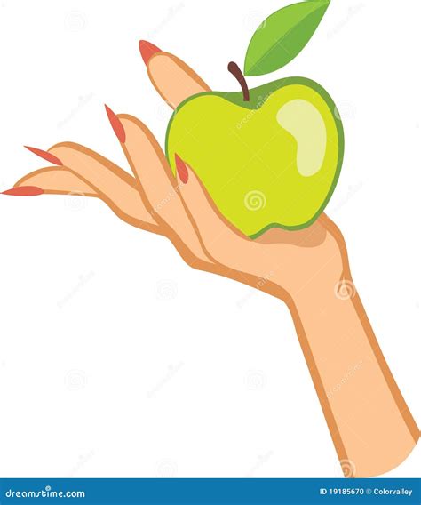 Womans Hand Holding Apple Illustration Stock Vector Image 19185670