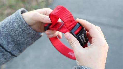 How to measure your dog for a harness. How To Adjust Your Nylon Dog Collar - YouTube