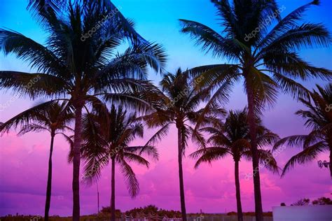 Pictures Miami Beach Sunset Miami Beach South Beach Sunset Palm