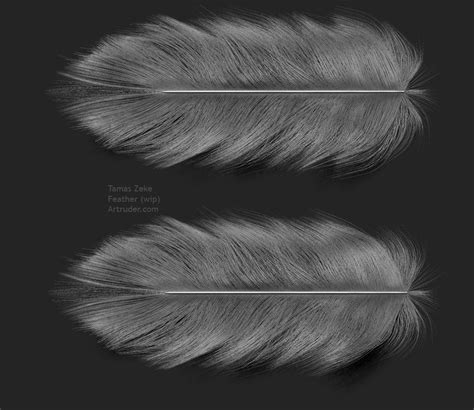 Feather Alpha Texture