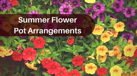 Cultivars and mixes to select. Summer Flower Pot Arrangements · All around the house