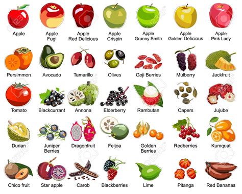 Types Of Fruits Twin Fruit
