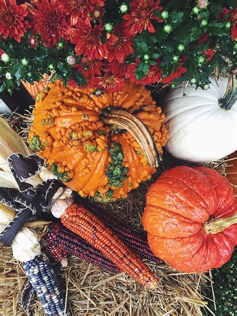 Every searchindex requires there be one (and only one) field with document=true. Fall Décor DIY: Build a Haystack | Fall decor, Fall decor ...