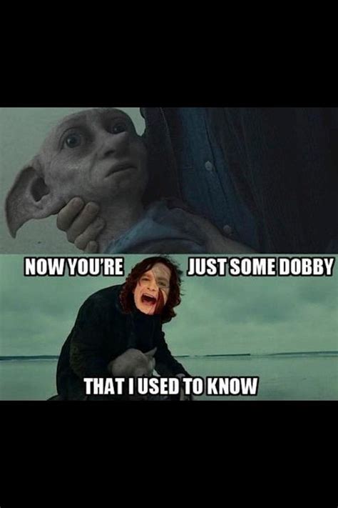 Some Dobby Rfunny